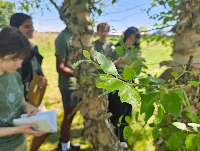 Kids studying trees outside
